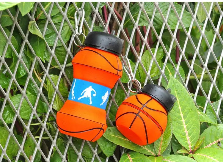 Collapsible BPA-Free Silicone Sports Water Bottle (19oz)